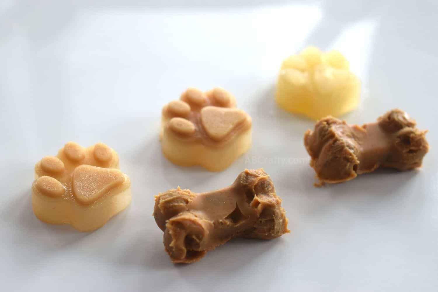 Homemade Tiny Dog Treats with Silicone Mould (DIY): Recipes and