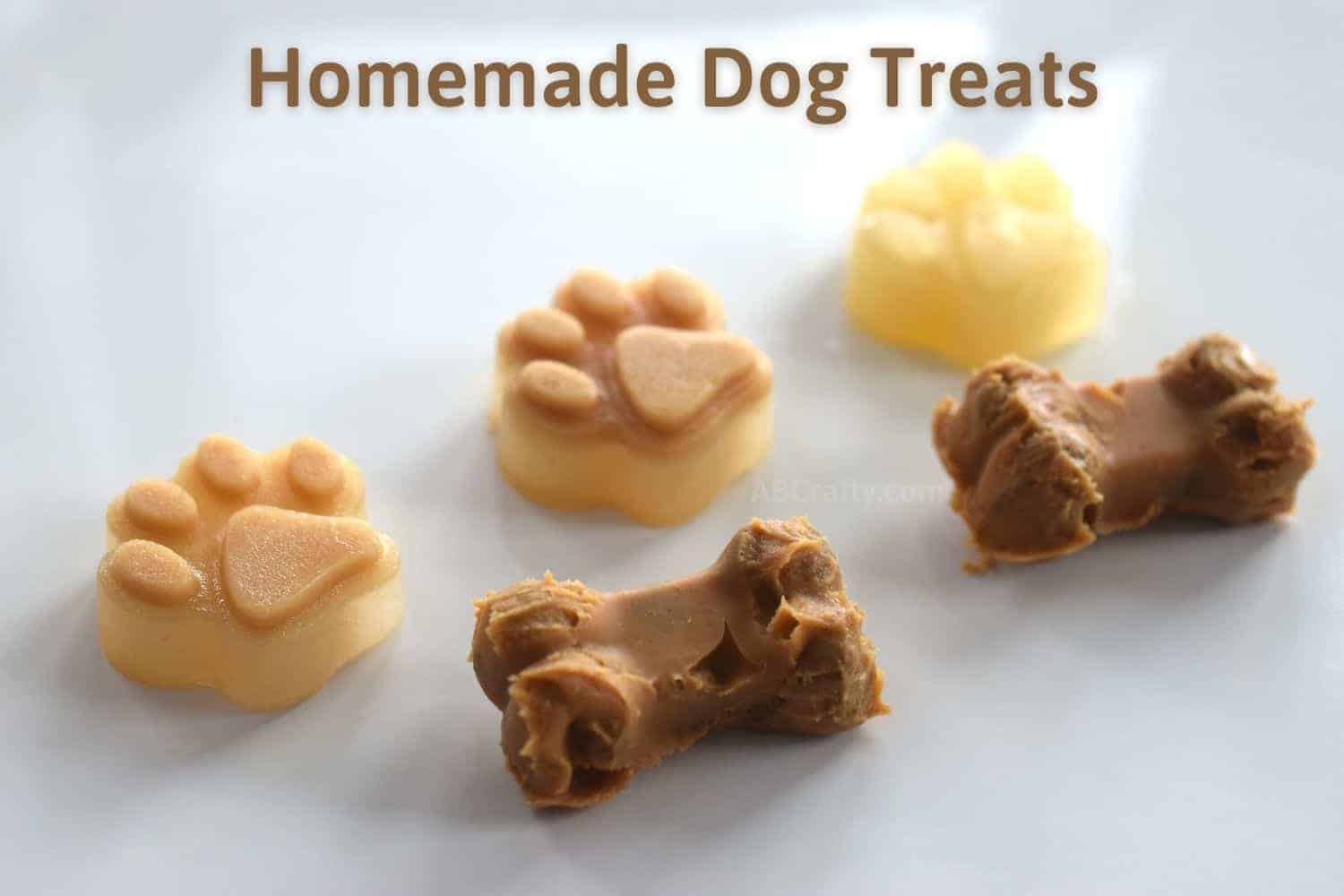 The Benefits of Frozen Dog Treats: Here Are a Few Recipes To Keep