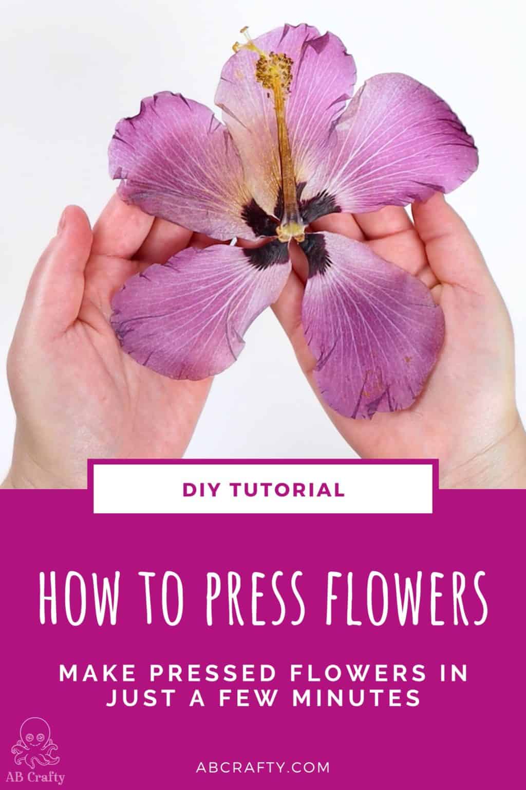 how to use microwave flower press｜TikTok Search