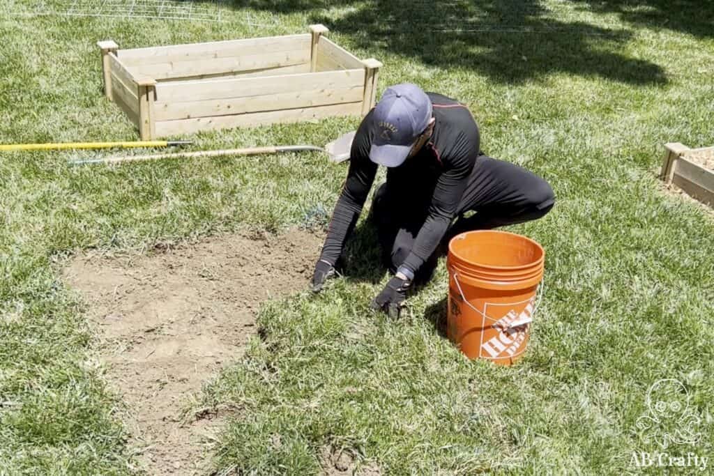 pulling up grass from a sectioned off area