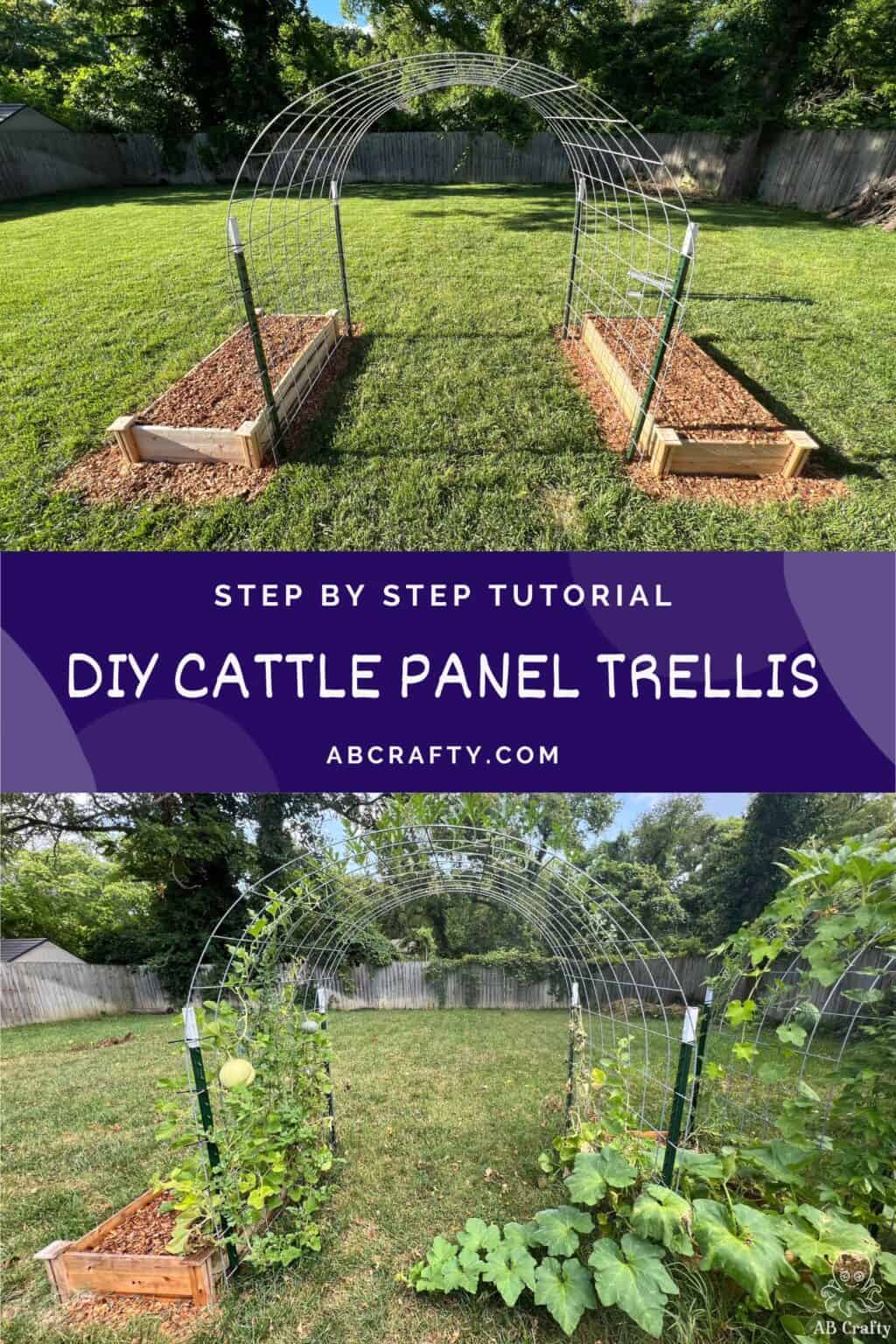 two photos of the finished cattle panel trellis and then the garden arch with plants growing on it. the title says "step by step tutorial, diy cattle panel trellis, abcrafty.com"