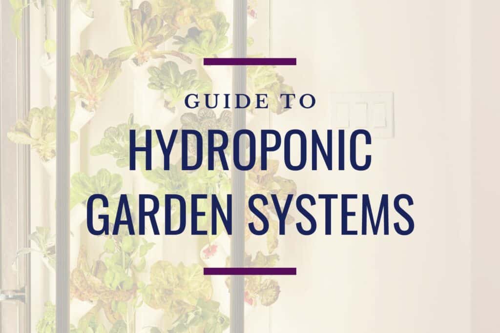 faint image of a gardyn with the title "guide to hydroponic garden systems"