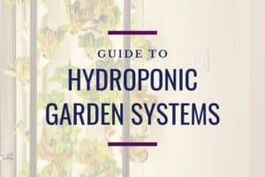 faint image of a gardyn with the title "guide to hydroponic garden systems"